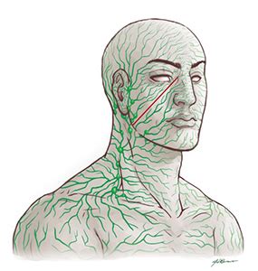 Podcast 33 Help Clear Acne with Lymphatic System Detoxification
