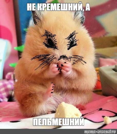 Создать мем "хомяк мальчик, всё о хомяках, хомяк прикольные картинки ...