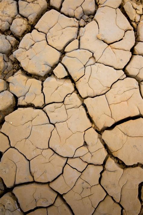 Dry desert stock image. Image of dead, food, clay, dirt - 21244843