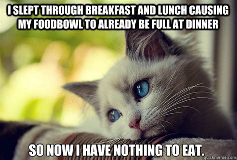 i slept through breakfast and lunch causing my foodbowl to already be ...