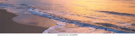 553 Nature Linkedin Background Royalty-Free Images, Stock Photos ...