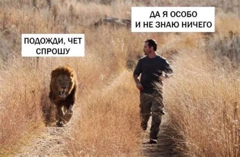 Создать мем "лев бежит за человеком, утренняя пробежка, убегает от льва ...