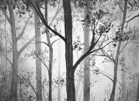 Pencil Drawing Of A Forest at PaintingValley.com | Explore collection ...