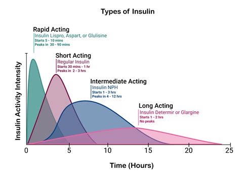 diabetes educational tool