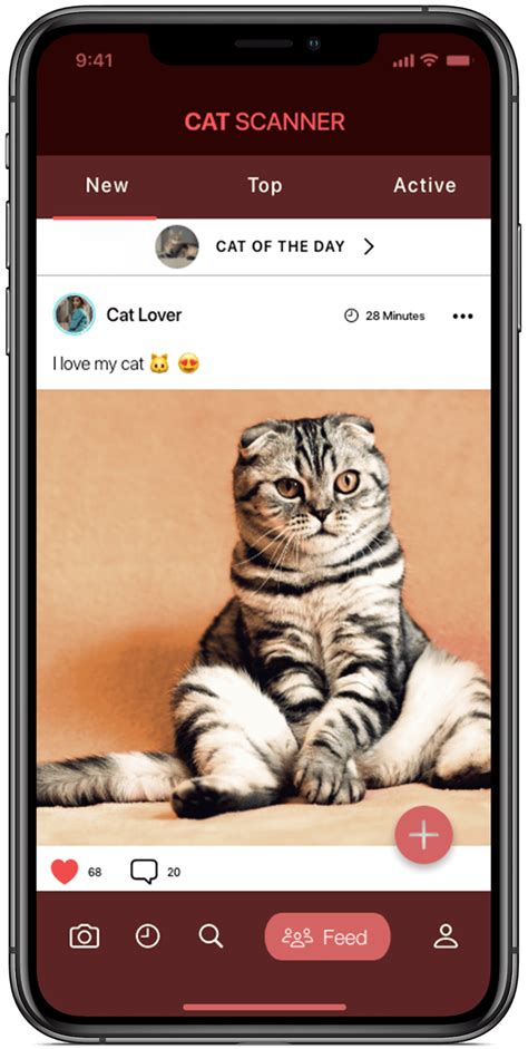 fantastic tips    find   breed   cat pricelunch