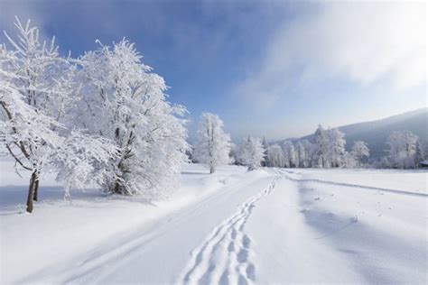 Le froid qui pique | Sophie Allard | Santé