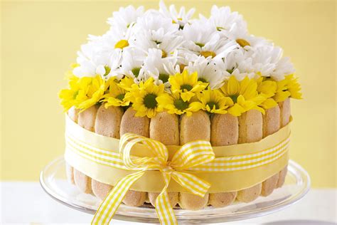 Nudes Daisy Cakes 86 fotos Pussy, Facebook - Food Ideas