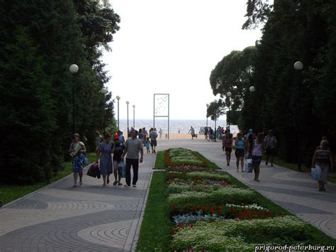 Зеленогорск – лучший курорт Ленинградской области | Пригороды Петербурга