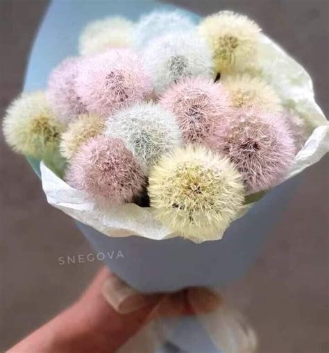 Pin by Svetlana on Цветы | Save, Quick