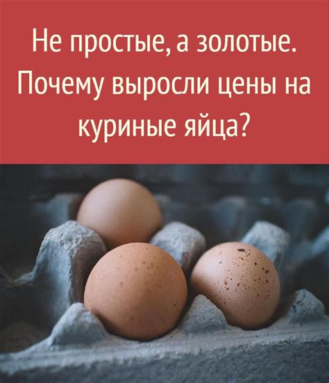 Не простые, а золотые. Почему выросли цены на куриные яйца? Eggs ...