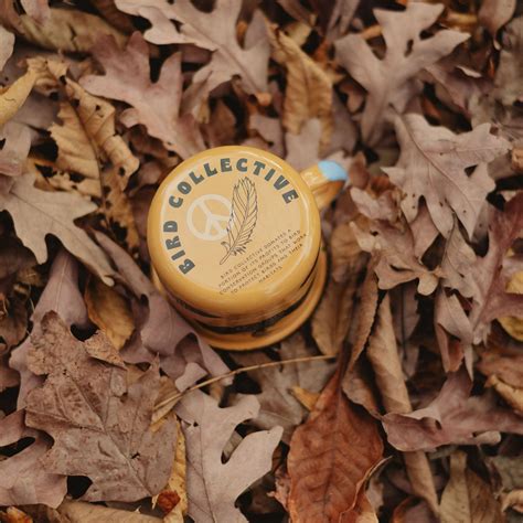 Loons of North America Sweatshirt – Bird Collective