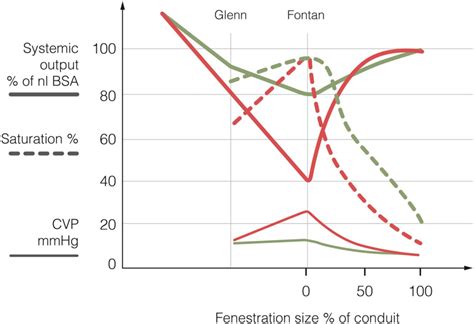 The Fontan circulation after 45 years: update in physiology | Heart