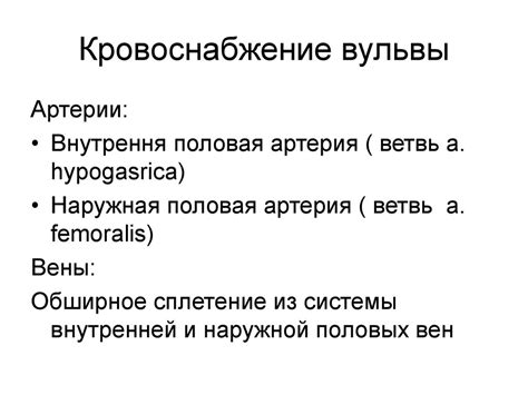 Анатомия и патология вульвы и влагалища - online presentation