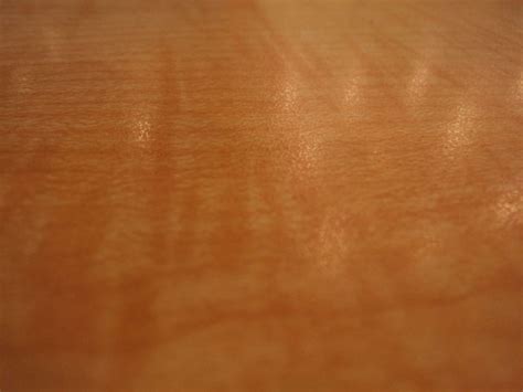 tan background  stock photo public domain pictures