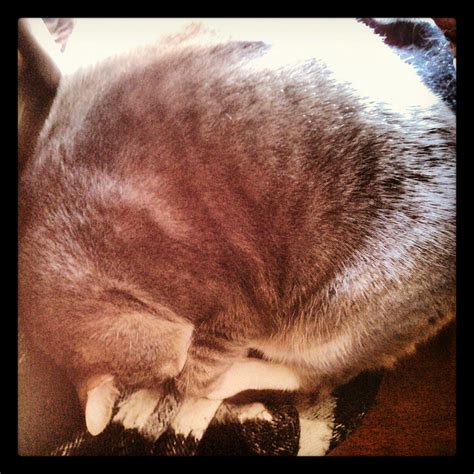 murphy ball matthew ebel