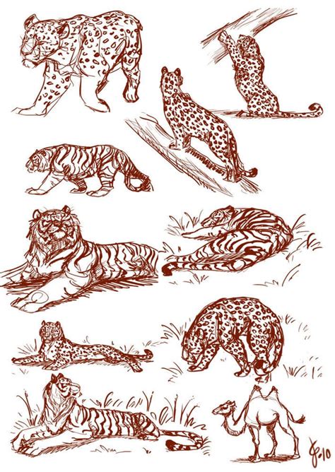 Design Stack: A Blog about Art, Design and Architecture: Animal ...