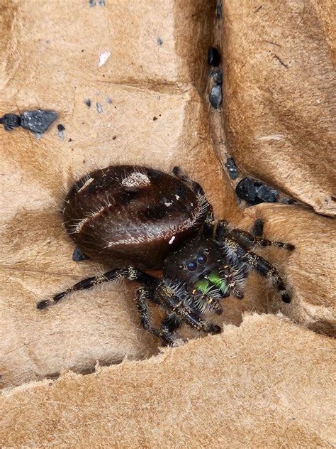 770 best Big Booty Shake images on Pholder | Femalefittofat, Big Booty