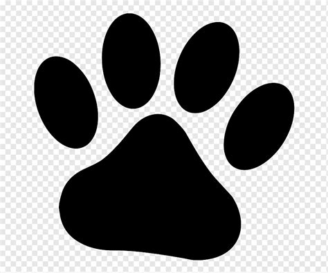Cão Pata Desenho Gato, pata, animais, papel de parede, focinho png ...