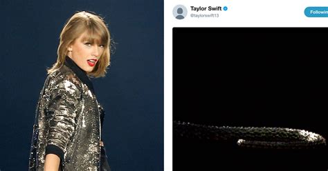 Taylor Swift’s Social Media Accounts Share Video of a Snake | Teen Vogue