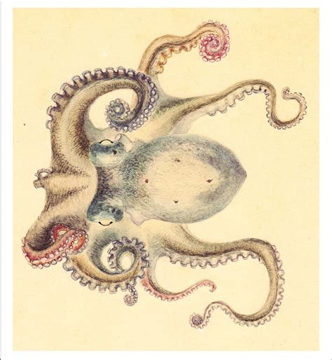 Scientific Drawing at PaintingValley.com | Explore collection of ...