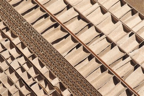 sap erp software  corrugated board manufacturers