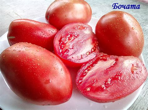 Томат Бочата: описание сорта, ОТЗЫВЫ, фото | tomatland.ru