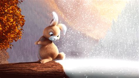 Pin on bunny