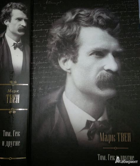 Книга: Том, Гек и другие: Приключения Тома Сойера; Приключения ...