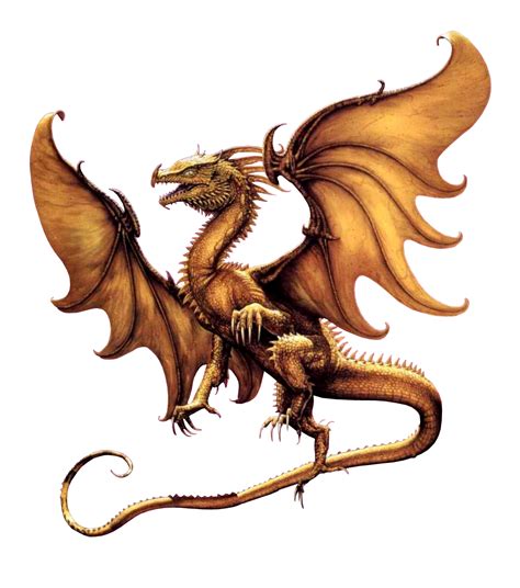 tube dragon