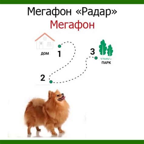 Мегафон «Радар» - подключение и управление услугой от Megafon