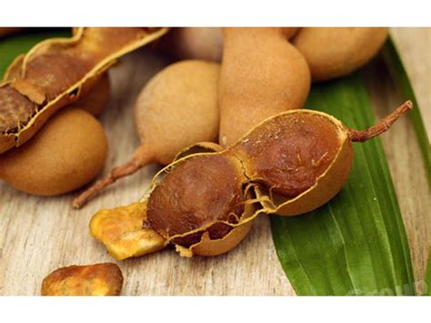 Тамаринд (Tamarind) - экзотические плоды Таиланда