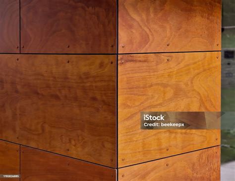 pelapis dinding menggunakan papan kayu alami kayu lapis veneer  papan