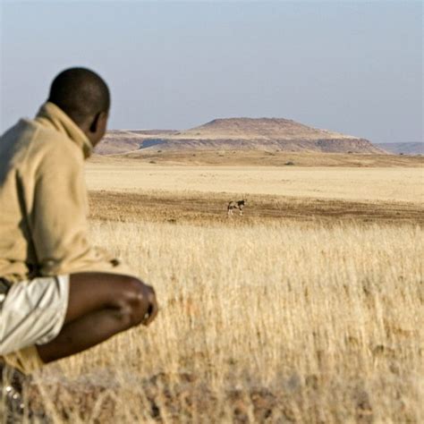 Experience Tracking Desert Black Rhino In Nambia | Art Of Safari