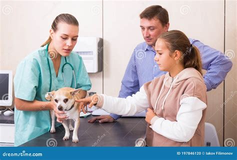 Experienced Woman Veterinarian Listening To Father and Daughter ...