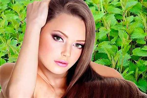 Крапива для волос и кожи. Свойства, польза и рецепты применения
