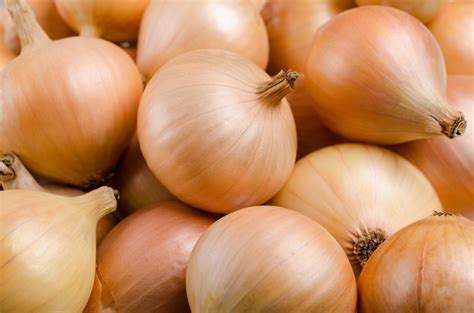 Onion sorting and grading machines | TOMRA