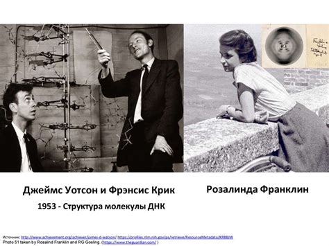 Секвенирование по Сэнгеру - презентация онлайн