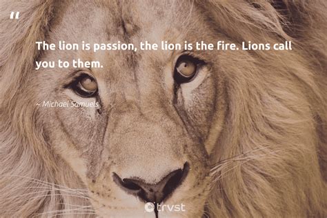 29 Lion Quotes and Inspirational Sayings About the King of the Jungle