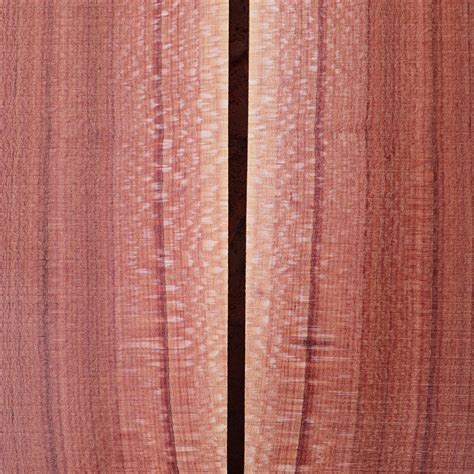 red oak outdoors  trudi abbas blog