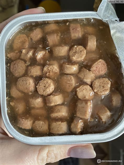 Корм для кошек Шермурр Gold сочные кусочки мяса с индейкой в желе ...