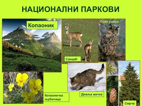 биодиверзитет и заштита биодиверзитета