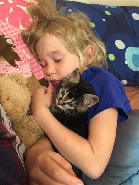 5 Things Parents Of Human Kids Should Consider Before Adopting A Cat ...