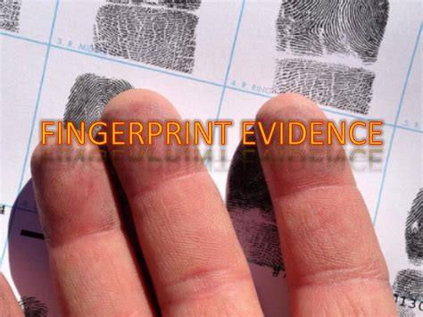 SOLUTION: Fingerprint Evidence - Studypool