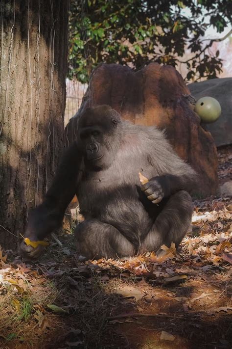 Animated+Women+Fingering+Gifs Videos, Download The BEST Free 4k Stock