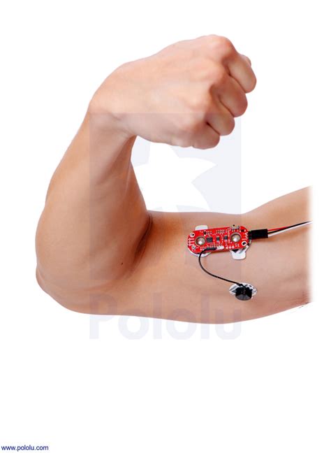 SENSOR MUSCULAR MYOWARE EMG - Electrostore