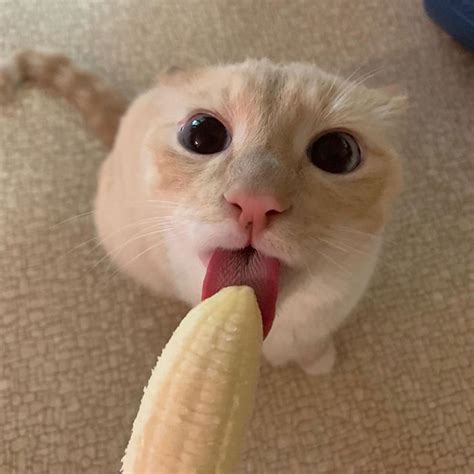 beans banana craze  viral  facebook pictures sparking