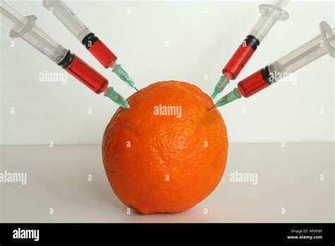 genetically modified food stock photo alamy