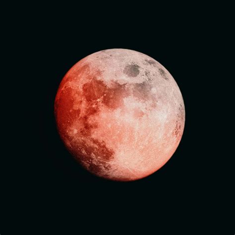 [100+] Red Moon Wallpapers | Wallpapers.com
