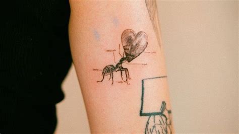 50 Amazing Ant Tattoos with Meanings – Body Art Guru