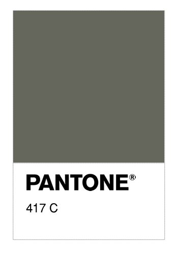 Colore PANTONE® 417 C - Numerosamente.it